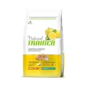 Trainer-Natural Mini Senior (1)
