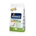 Affinity Advance-Gatos Esterilizados Pavo y Cebada (3)