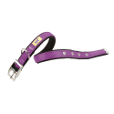 Collar Dual para perros Purple Ferplast