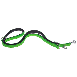 Correa Nylon Daytona Ga Green para perros Ferplast