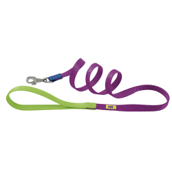 Correa Nylon Club G Purple para perros Ferplast