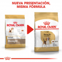 Royal Canin-Beagle Adulto (1)