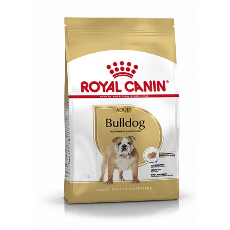 Royal Canin-Bulldog Inglés Adulto (1)