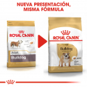 Royal Canin-Bulldog Inglés Adulto (1)