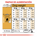 Royal Canin-Bulldog Inglés Adulto (1)