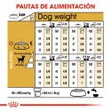 Royal Canin-Chihuahua Adulto (1)