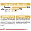 Royal Canin-Teckel Adulto (1)