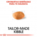 Royal Canin-Dalmata Adulto (1)