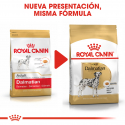 Royal Canin-Dalmata Adulto (1)