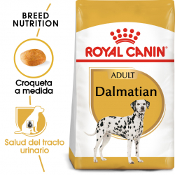 Royal Canin-Dalmata Adulto (1)