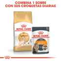 Royal Canin-Sphynx Adulto (1)