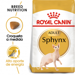 Royal Canin-Sphynx Adulto (1)