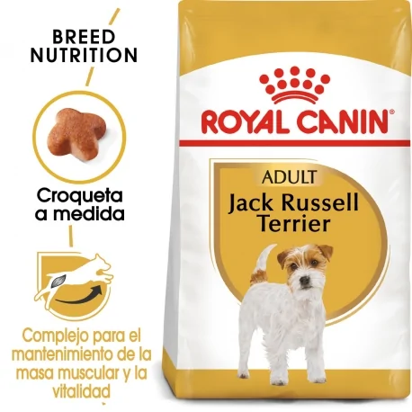 Royal Canin-Jack Russell Adulto (1)