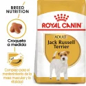 Royal Canin-Jack Russell Adulto (1)
