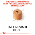 Royal Canin-Labrador Retriever Sterilised (1)