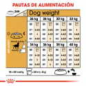 Royal Canin-Labrador Retriever Sterilised (1)