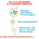 Royal Canin-Chihuahua Cachorro (1)