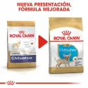 Royal Canin-Chihuahua Cachorro (1)