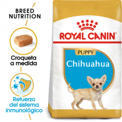 Royal Canin-Chihuahua Cachorro (1)