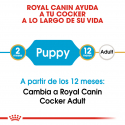 Royal Canin-Cocker Cachorro (1)