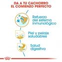 Royal Canin-Cocker Cachorro (1)