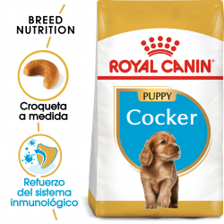 Royal Canin-Cocker Cachorro (1)