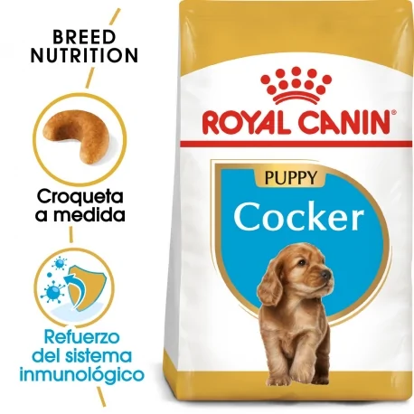 Royal Canin-Cocker Cachorro (1)