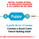 Royal Canin-Bulldog Frances Cachorro (1)