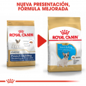 Royal Canin-Bulldog Frances Cachorro (1)