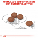 Royal Canin-Mini Digestive Care (1)