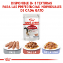 Royal Canin-Instinctive (Jelly)Pouch 85gr. (1)