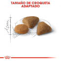 Royal Canin-Exigent 42 Protein (1)