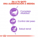 Royal Canin-Sterilised +7 Años (1)