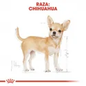 Royal Canin-Chihuahua Pouch 85 gr (1)