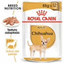 Royal Canin-Chihuahua Pouch 85 gr (1)