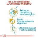 Royal Canin-Pastor Aleman Cachorro (1)
