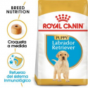 Royal Canin-Labrador Retriever Cachorro (1)