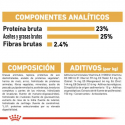 Royal Canin-Gran Danés Adulto (1)