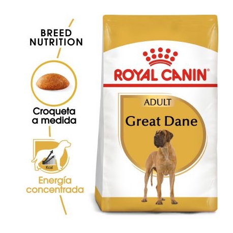 Royal Canin-Gran Danés Adulto (1)