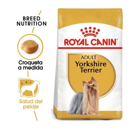 Royal Canin-Yorkshire Terrier Adulto (1)