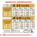 Royal Canin-Golden Retriever Cachorro (1)