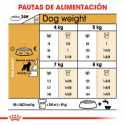 Schnauzer Miniatura Adulto (1)