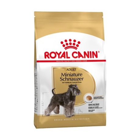 Schnauzer Miniatura Adulto (1)
