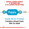 Royal Canin-Shih Tzu Cachorro (1)