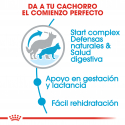 Royal Canin-Maxi Starter Mother&Babydog (1)