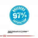 Royal Canin-Maxi Starter Mother&Babydog (1)