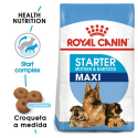 Royal Canin-Maxi Starter Mother&Babydog (1)