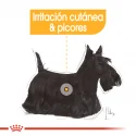 Royal Canin-Mini Dermacomfort Razas Pequeñas (1)