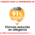 Royal Canin-Mini Dermacomfort Razas Pequeñas (1)