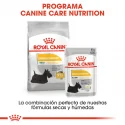 Royal Canin-Mini Dermacomfort Razas Pequeñas (1)